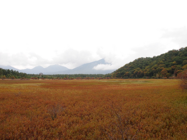b0244811_17455412.jpg