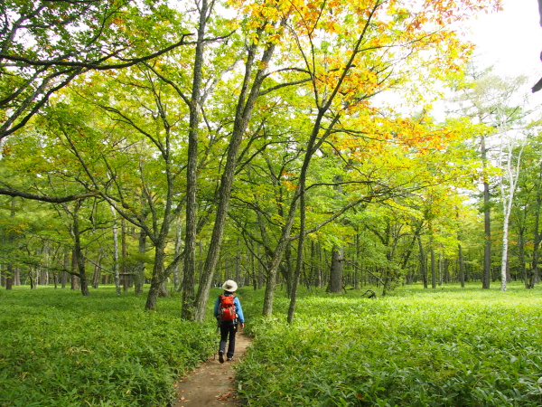 b0244811_225521.jpg