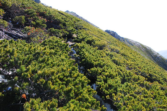 b0223512_17274568.jpg