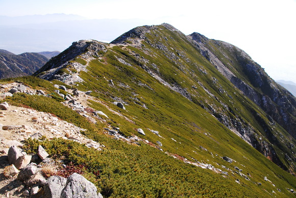 b0223512_17281427.jpg