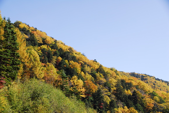 b0223512_1839097.jpg