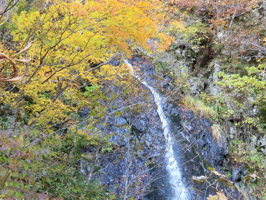 d0221319_21284189.jpg
