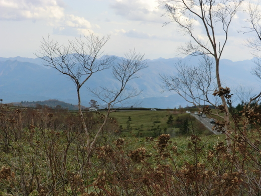 d0221319_3161821.jpg