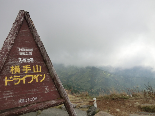 d0221319_411530.jpg