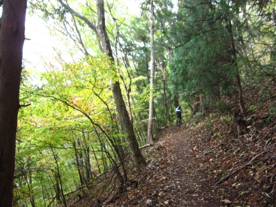 f0177521_16434449.jpg
