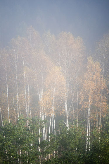 e0025030_8272318.jpg