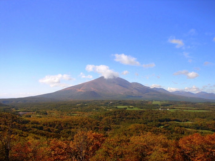 e0254331_20264815.jpg