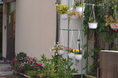 b0165233_147428.gif