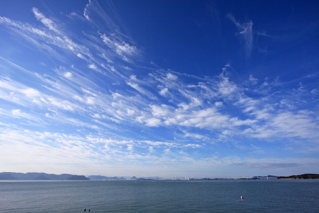 a0242438_20535762.jpg