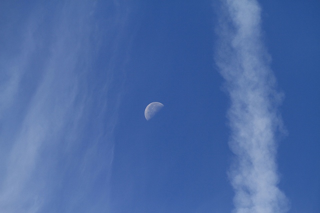a0242438_210225.jpg