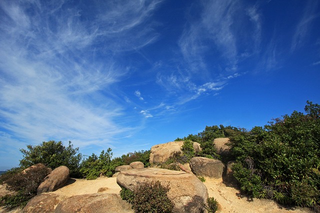 a0242438_210865.jpg