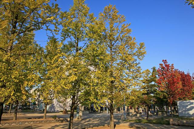 a0242438_8123244.jpg