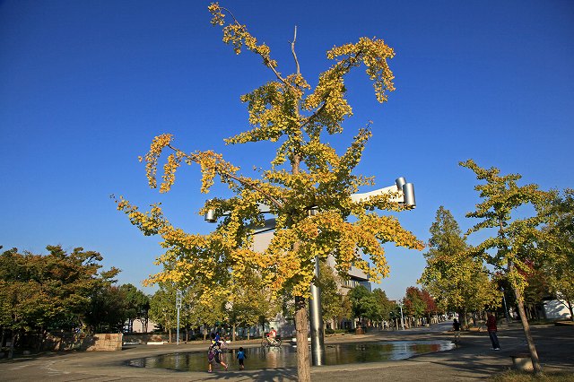a0242438_8124074.jpg