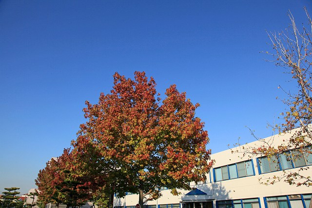 a0242438_8125430.jpg
