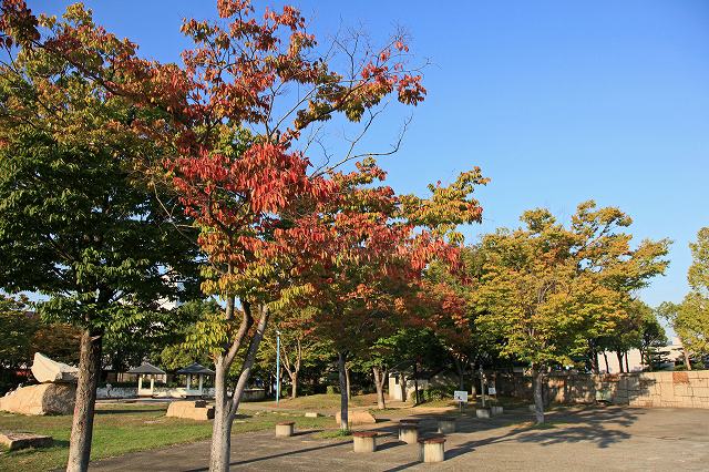 a0242438_81348.jpg