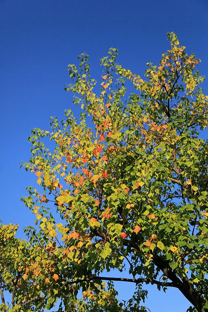 a0242438_8152779.jpg