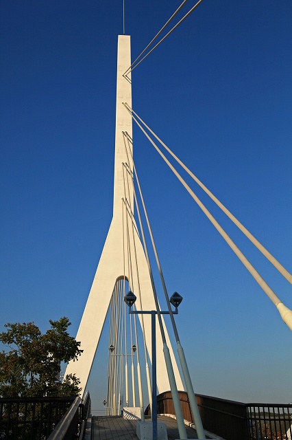 a0242438_8153516.jpg