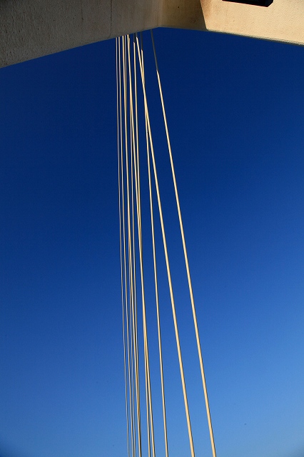 a0242438_8154287.jpg