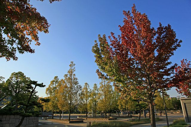 a0242438_816211.jpg