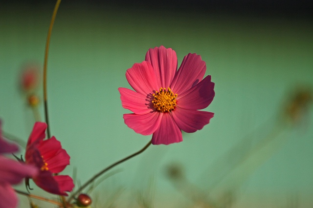 a0242438_8162739.jpg