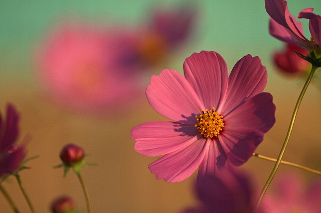 a0242438_8165681.jpg