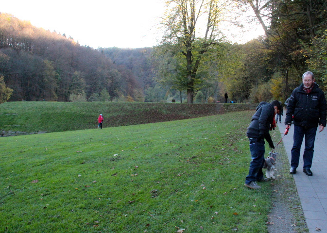 c0153740_22406.jpg