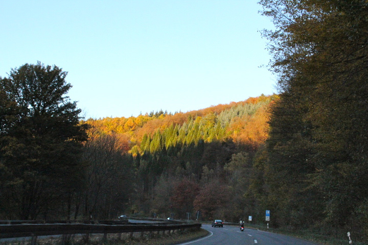 c0153740_2363.jpg