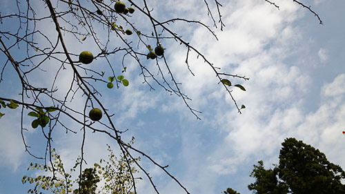 f0204440_21323557.jpg