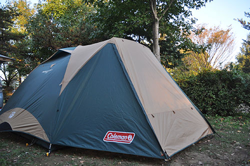 f0204440_2223632.jpg
