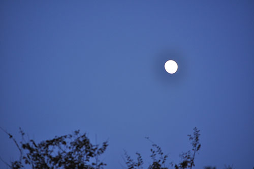 f0204440_2244480.jpg