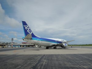 d0142944_128541.jpg
