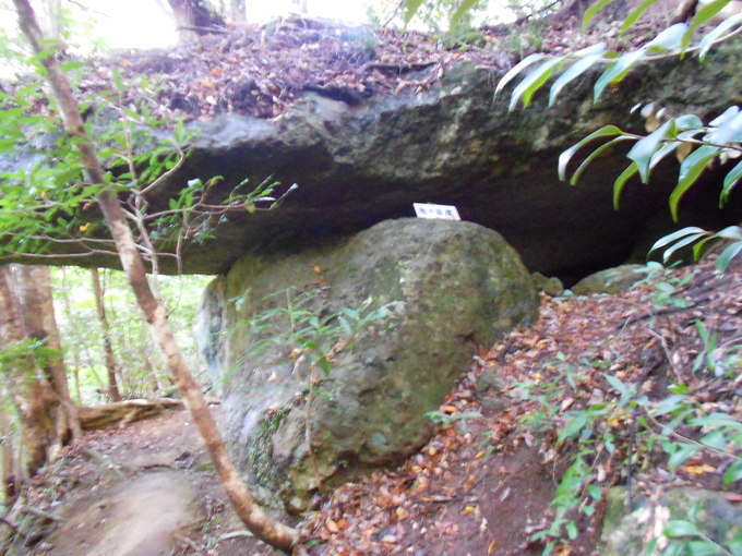 a0206345_1922149.jpg