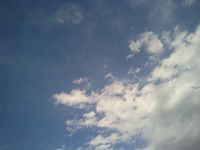 b0170947_7484827.jpg