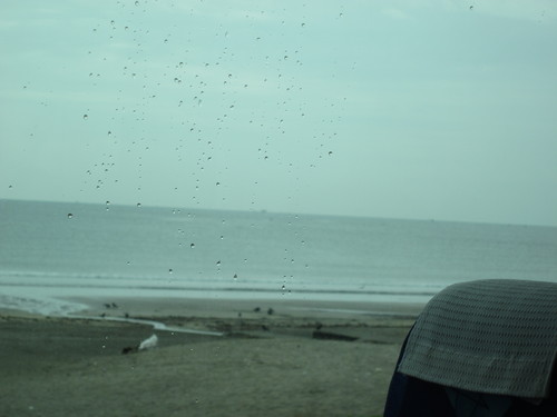 f0087347_20373340.jpg