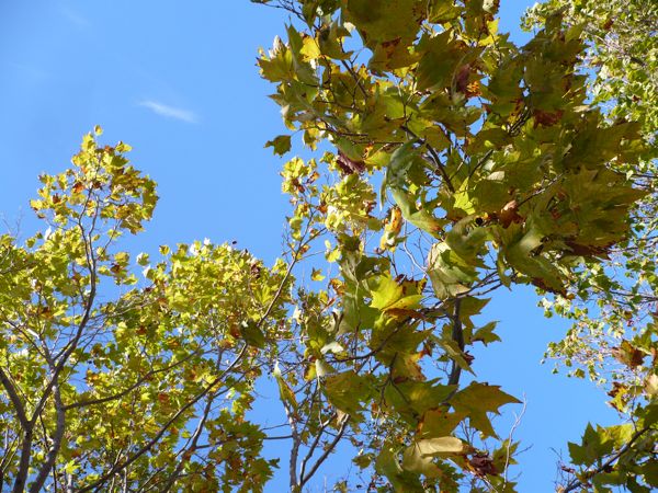 c0245349_0575931.jpg