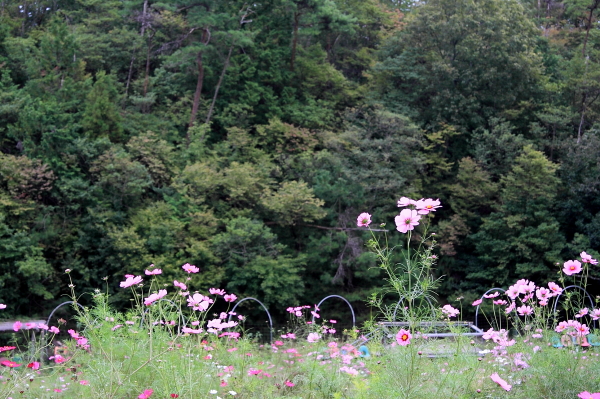 a0024250_1711781.jpg