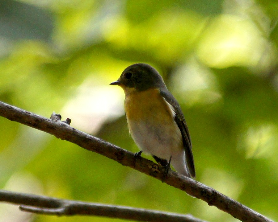 f0124451_23105435.jpg