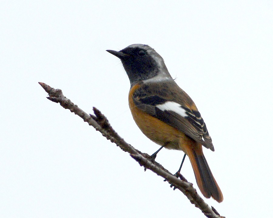 f0124451_2352057.jpg
