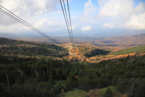 b0250353_21393734.jpg