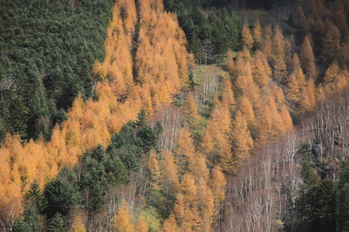 b0250353_21402256.jpg