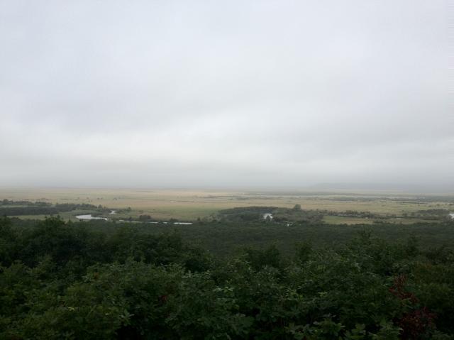 c0105957_20144224.jpg