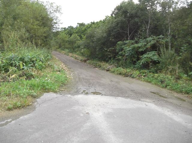 c0105957_21175958.jpg