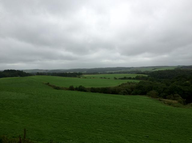 c0105957_2142814.jpg