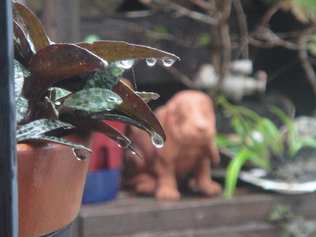 c0108460_1258245.jpg