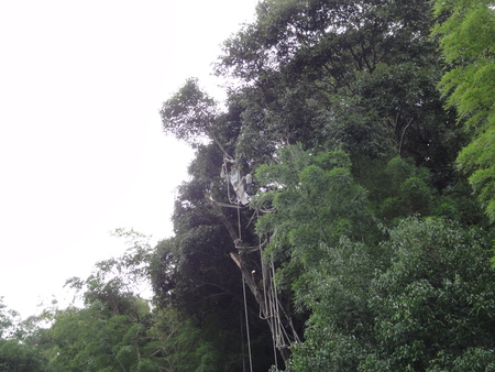 c0108460_1303895.jpg