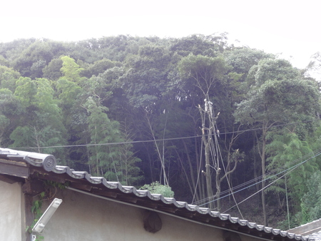 c0108460_130575.jpg