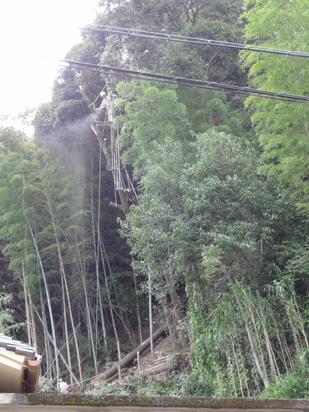 c0108460_1313915.jpg