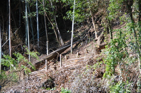 c0108460_1332881.jpg