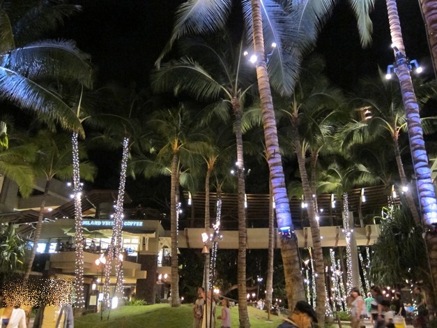 e0138560_20462053.jpg