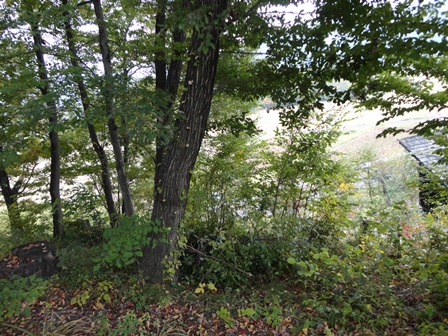 d0152765_16201469.jpg